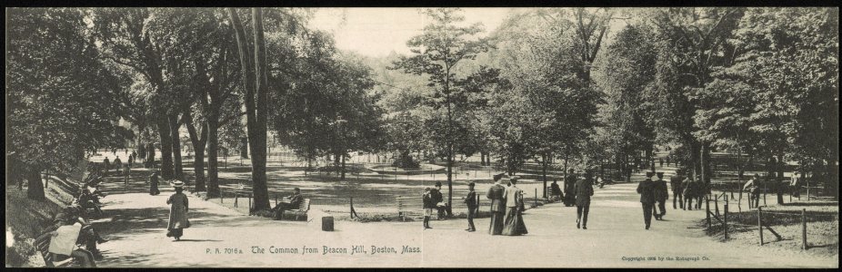 The Common from Beacon Hill, Boston, Mass. LCCN2013647070