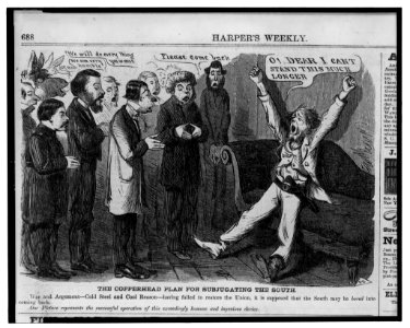 The copperhead plan for subjugating the South - F.B. LCCN2003663130