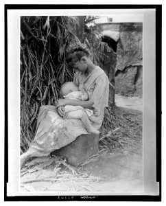 The cornstalk madonna - photo by Orin Crooker, Hoopeston, Ill. LCCN2008676731