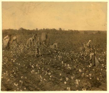 The cotton pickers on this farm were temporary neighbors to the owner. Four adults and seven children. The latter as follows- one six year old boy picks one hundred pounds a day. His father LOC nclc.00224