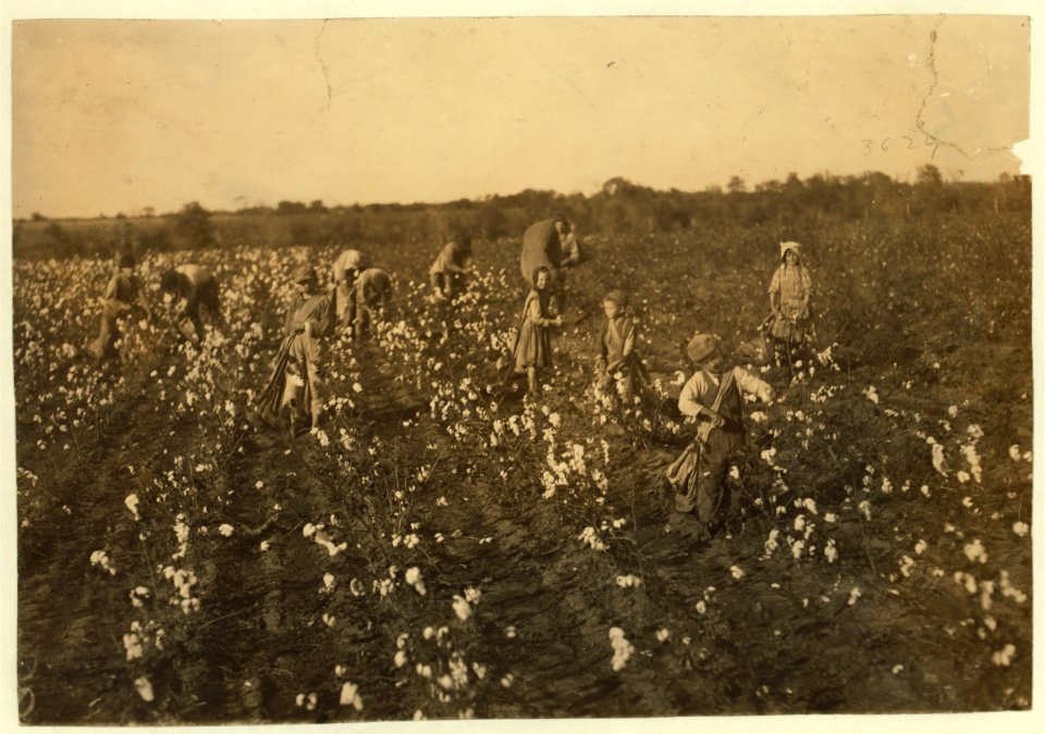 The cotton pickers on this farm were temporary neighbors to the owner. Four adults and seven children. The latter as follows- one six year old boy picks one hundred pounds a day. His father LOC nclc.00223