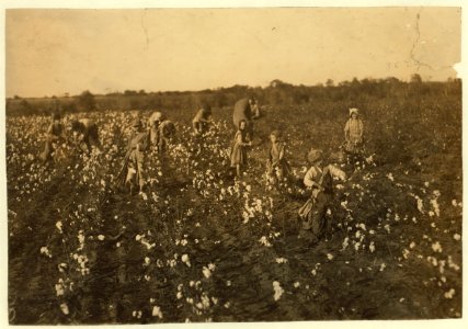 The cotton pickers on this farm were temporary neighbors to the owner. Four adults and seven children. The latter as follows- one six year old boy picks one hundred pounds a day. His father LOC nclc.00223