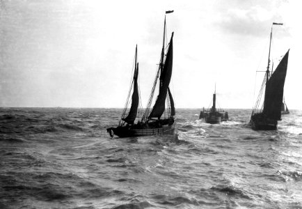 The dandy-rigged trawler 'Speranza' (1891) (LT431) under sail, with an unidentified trawler being towed by the paddle tug 'Imperial' (1879) RMG P27507