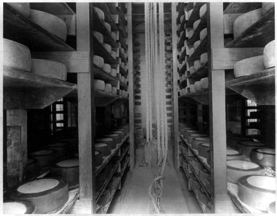The curing room in the dairy house, Kern Island Dairy, Kern County, Calif., showing the shelving and manner of storing the cheese LCCN2002706074