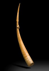 Ivory africa defence