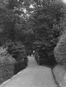 The Dingle, Penarth (4641565)