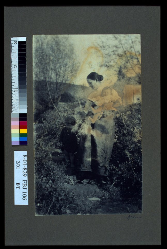 The difficult step - Allen. LCCN2004676239