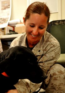 The dogs of war, Saving lives but paying the price 120314-N-UR169-012