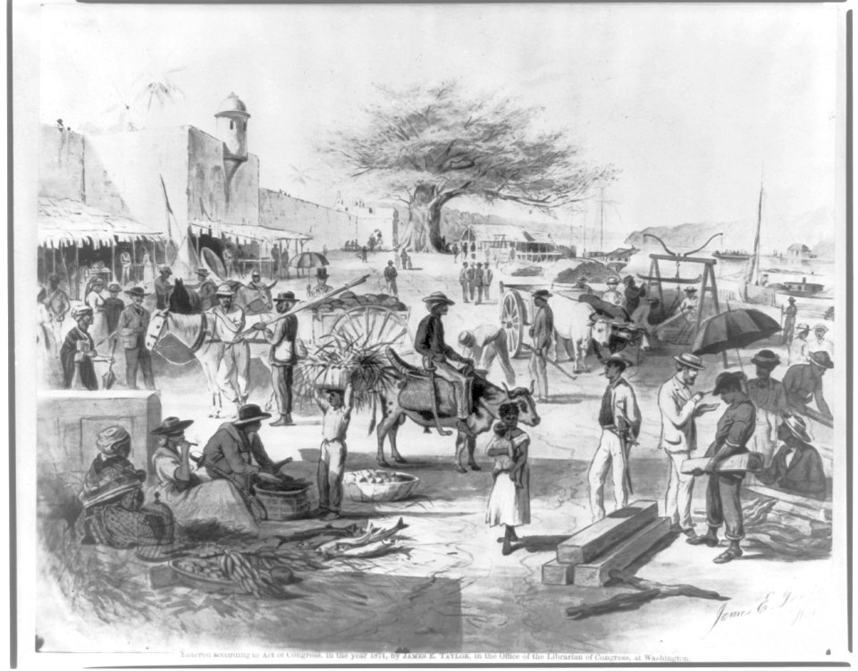 The embarkadero, or wharf of Santo Domingo City, showing the Columbus tree in bg. LCCN2016650420