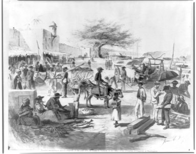 The embarkadero, or wharf of Santo Domingo City, showing the Columbus tree in bg. LCCN2016650420