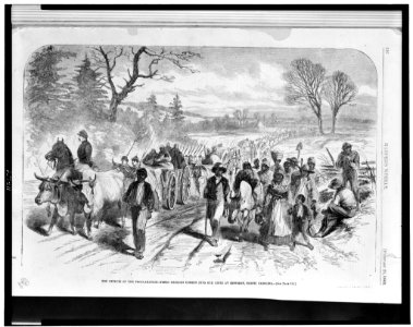 The effects of the proclamation - freed Negroes coming into our lines at Newbern, North Carolina LCCN95501775