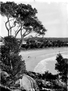 The Esplanade, Manly, from Fairy Bower from The Powerhouse Museum photo