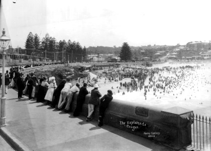The Esplanade, Coogee from The Powerhouse Museum photo