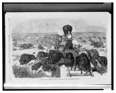 The far west - shooting buffalo on the line of the Kansas-Pacific Railroad - Bghs. LCCN2004669992