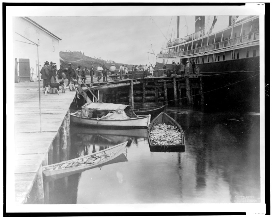 The expedition vessel, George W. Elder, at dock possibly in Sitka, Alaska, and two small boats loaded with fish in the foreground, 1899) - Curtis LCCN2002706854