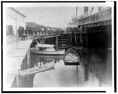 The expedition vessel, George W. Elder, at dock possibly in Sitka, Alaska, and two small boats loaded with fish in the foreground, 1899) - Curtis LCCN2002706854