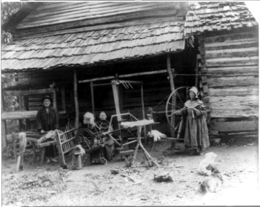 The Faust family, Anderson County, Tenn. at spinning wheel in front of cabin LCCN2012648342