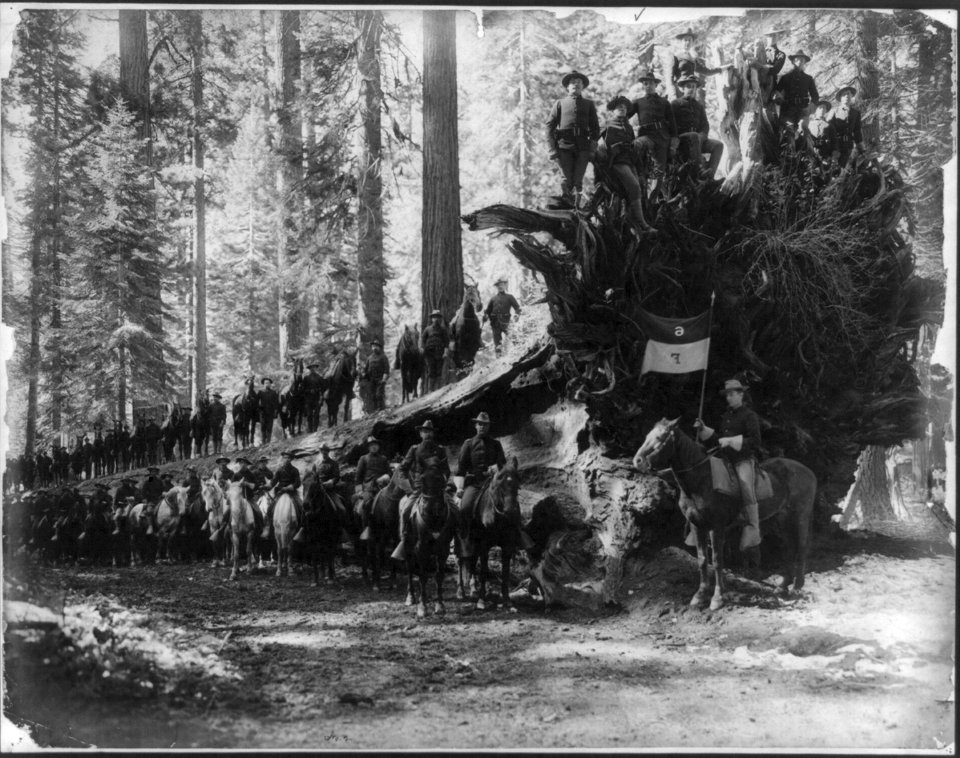 The fallen monarch, surrounded by Co. F, 6th Cavalry U.S.A., Mariposa big tree grove, Yosemite Valley National Park, Calif. LCCN2005686791