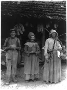 The Faust family, Anderson County, E. Tenn. (Mountain man and 2 women in front of house) LCCN2012648343