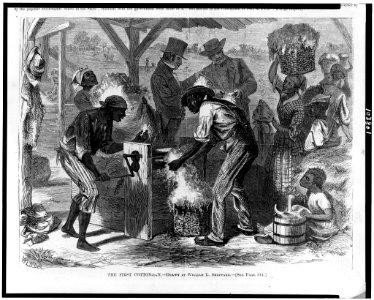 The First cotton-gin - drawn by William L. Sheppard. LCCN91784966