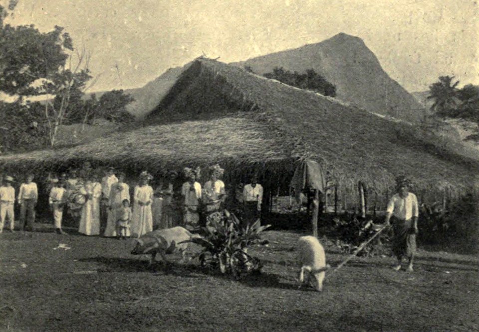 The Feasting Shed, Papara, by Clement Lindley Wragge