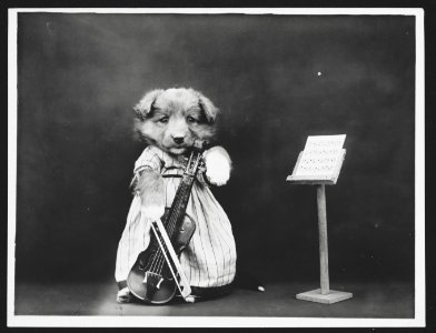 The fiddler LCCN2013648301