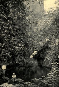 The Fautaua Gorge, by F. Homes