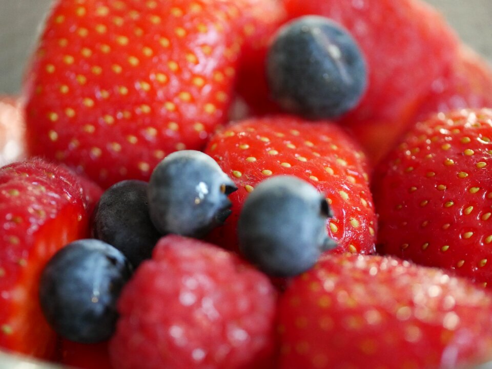 Blue berries healthy berries photo