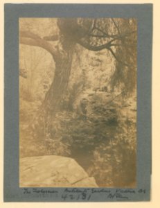 The Fisherman, Butcharts Gardens, Victoria, British Columbia (HS85-10-42131) original