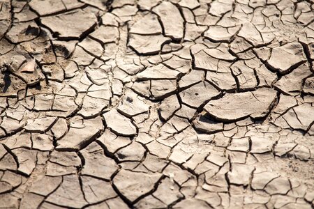 Arid mud dry