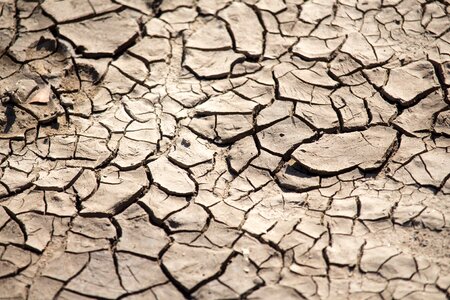 Arid mud dry photo