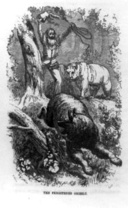 The Frightened grizzly - C. Nahl ; Eastman. LCCN93515377