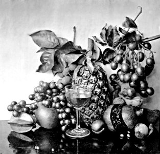 THE FRUITS OF CHINA