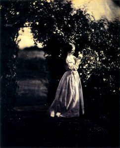 The Gardener's Daughter, by Julia Margaret Cameron