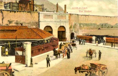 The Gibraltar Market