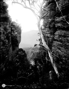 The Glen, Katoomba