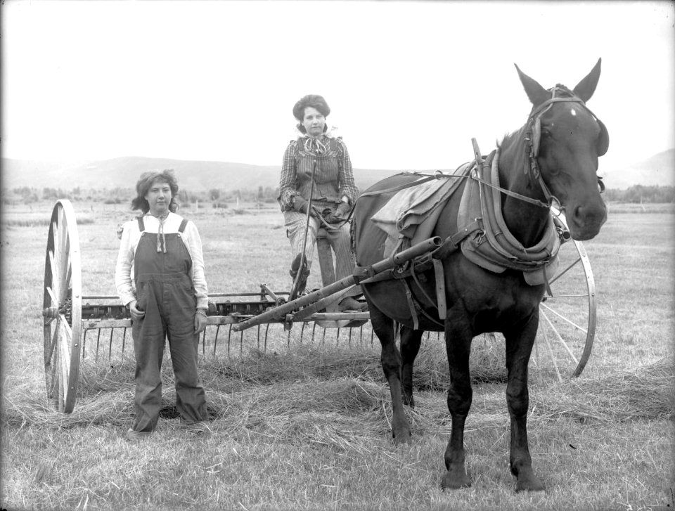 The Girls in the Overalls - Horsedrawn hay rake