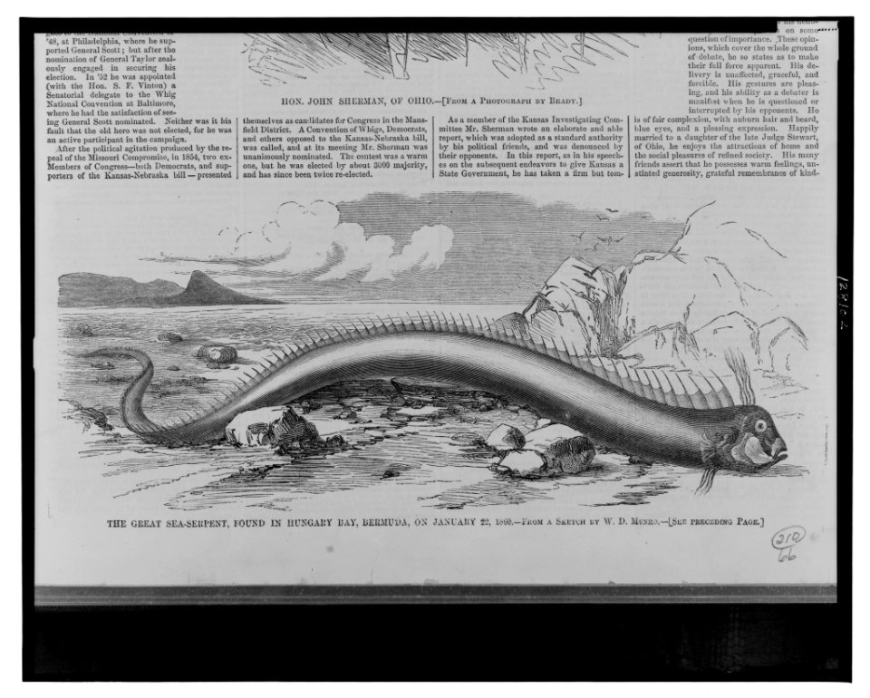 The great sea-serpent, found in Hungary Bay, Bermuda, on January 22, 1860 - from a sketch by W.D. Munro. LCCN2001695531