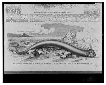The great sea-serpent, found in Hungary Bay, Bermuda, on January 22, 1860 - from a sketch by W.D. Munro. LCCN2001695531