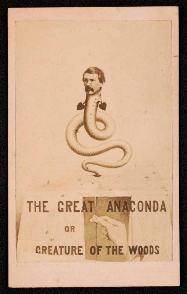 The Great Anaconda or Creature of the Woods - McAllister & Bro. opticians, 728 Chestnut St., Philadelphia. LCCN2017659634
