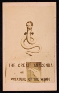 The Great Anaconda or Creature of the Woods - McAllister & Bro. opticians, 728 Chestnut St., Philadelphia. LCCN2017659634