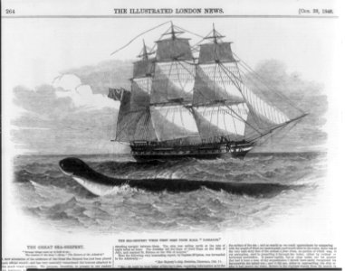 The great sea serpent. The sea serpent when first seen from H(er) M(ajesty's) S(hip) DAEDALUS LCCN2003680172