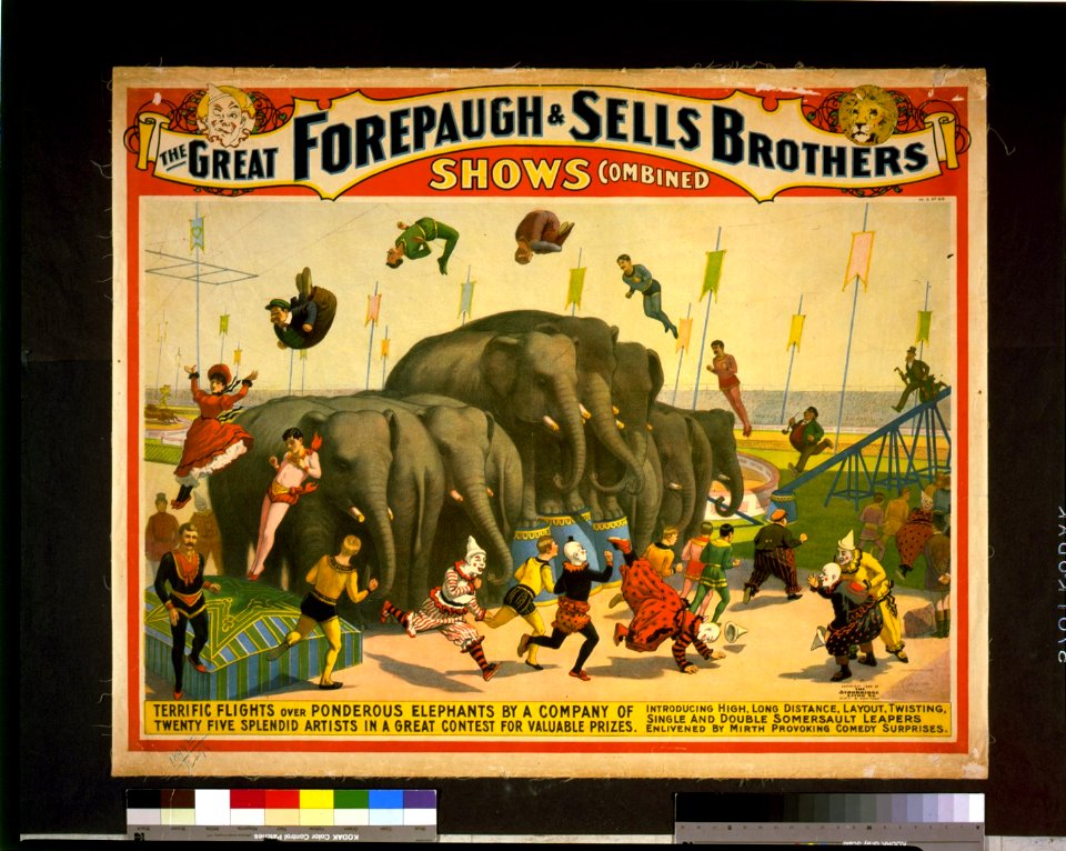 The great Forepaugh & Sells Brothers shows combined-Terrific flights over ponderous elephants by a company of twenty five splendid artists in a great contest for valuable prizes LCCN97502650