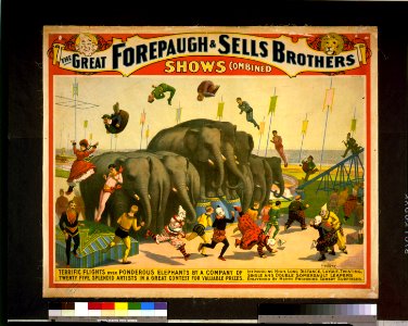 The great Forepaugh & Sells Brothers shows combined-Terrific flights over ponderous elephants by a company of twenty five splendid artists in a great contest for valuable prizes LCCN97502650
