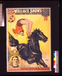 The great Wallace shows- colossal 3 ring circus, 2 elevated stages LCCN2007682632