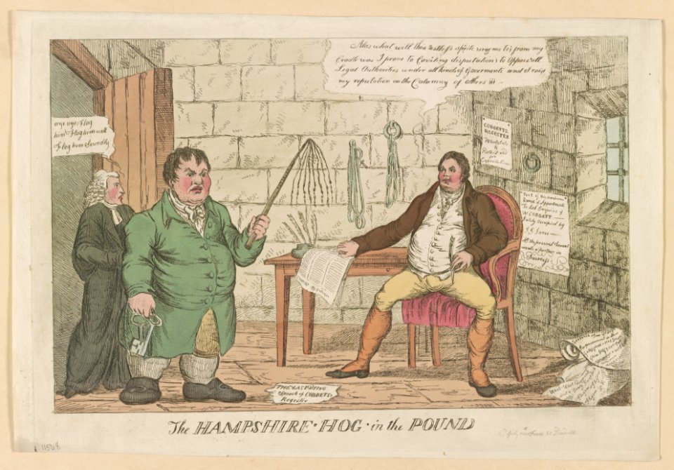 The Hampshire hog in the pound LOC ds.10846