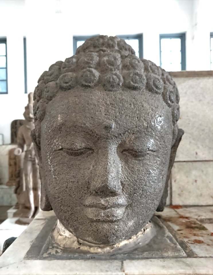 The Head of Buddha Statue 241