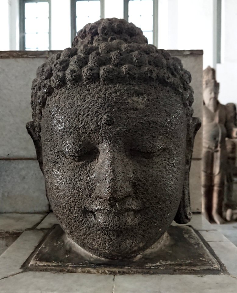 The Head of Buddha Statue 244