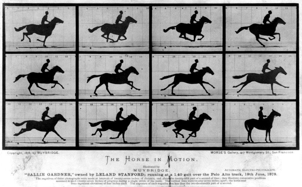 The Horse in Motion