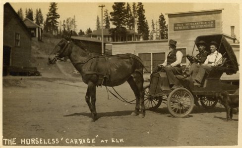 The Horseless Carrage